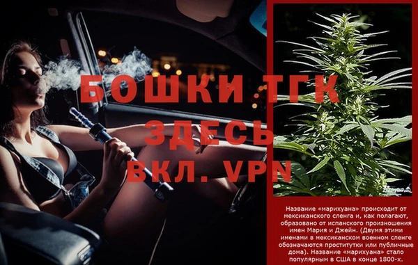 apvp Снежинск
