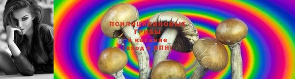 COCAINE Волоколамск