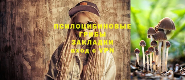 гашик Слюдянка