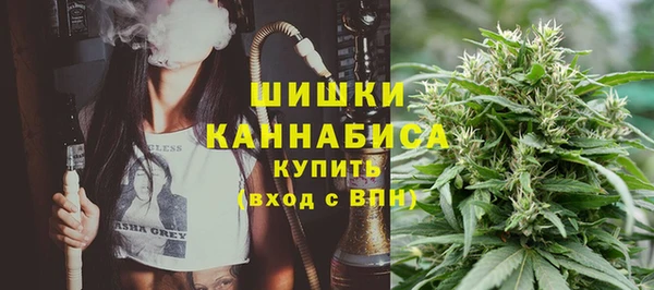 экстази Каменка