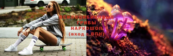 таблы Инта