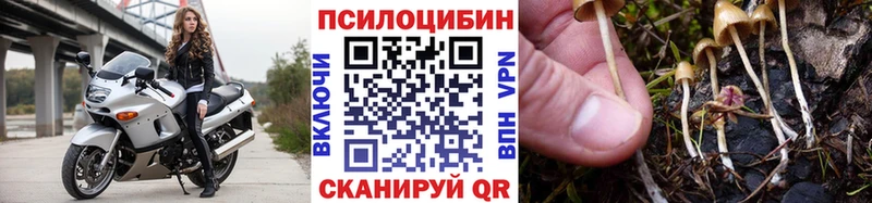 Галлюциногенные грибы Cubensis  Енисейск 